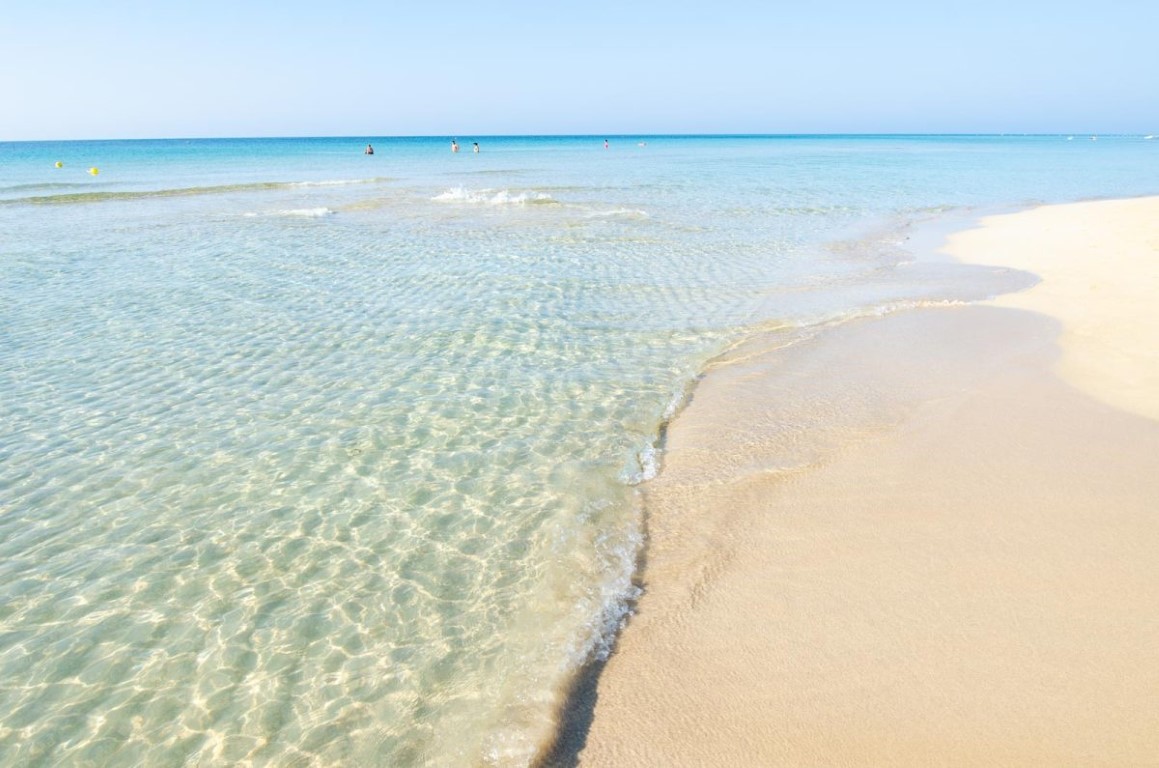 Giano Group Immobiliare